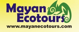Yucatan Compass Consulting